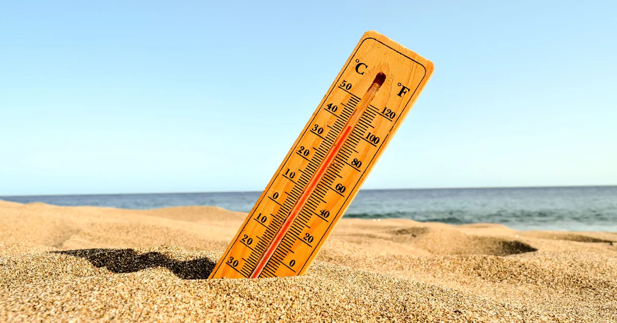 Retour de la canicule fin juillet en Belgique : jusqu'où le thermomètre va grimper (et l'impact sur votre facture)